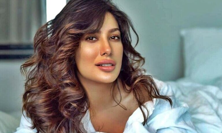 میں اتنے عرصے سے کام نہیں کررہی جتنا لوگ سمجھتے ہیں: مہوش حیات