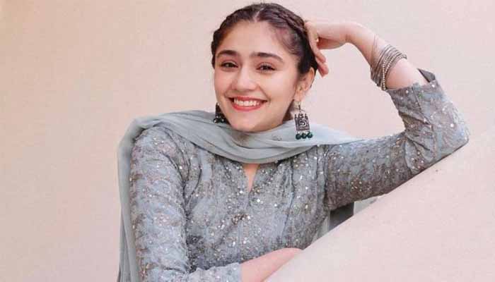 ’’اس کی قیمت ایک کروڑ ہے‘‘، درفشاں سلیم کی پینٹنگ کی ویڈیو وائرل