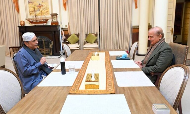 پیپلز پارٹی نے صدر کیلئے تاحیات استثنیٰ اور نیب خاتمے کے مطالبات پیش کردیے
