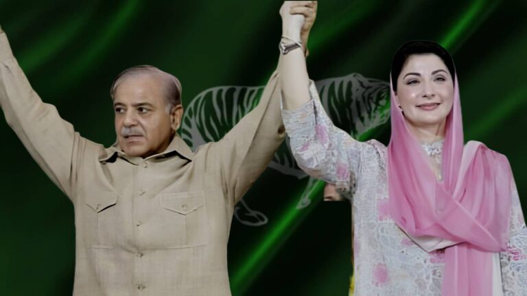 میں شہبازشریف کی ایکسٹینشن ہوں،  مریم نواز