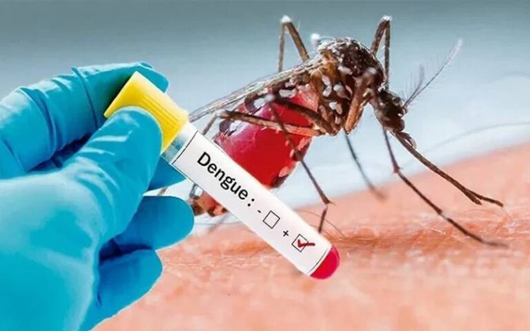 اسلام آباد میں گزشتہ 24 گھنٹوں کے دوران ڈینگی کے 10 نئے کیسز رپورٹ