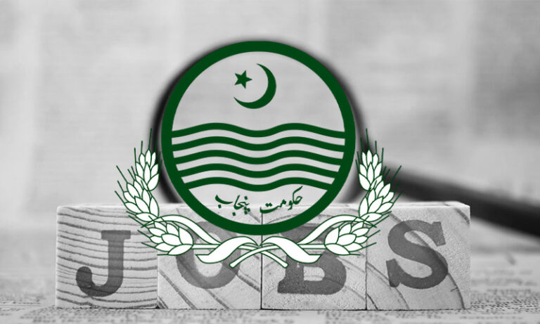پنجاب میں سرکاری ملازمتوں کے مواقع: میڈیا، ڈیٹا اور ڈیجیٹل شعبے میں آسامیوں کا اعلان