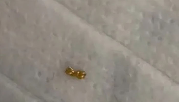 بچے نے ماں کے لاکھوں روپے کے طلائی ہار کے ٹکڑے کرکے اسکول کے دوستوں میں بانٹ دیے