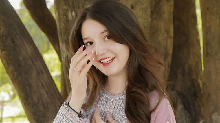 ثناء یوسف قتل کیس میں پراسکیوشن کے مزید دو گواہان کے بیانات ریکارڈ