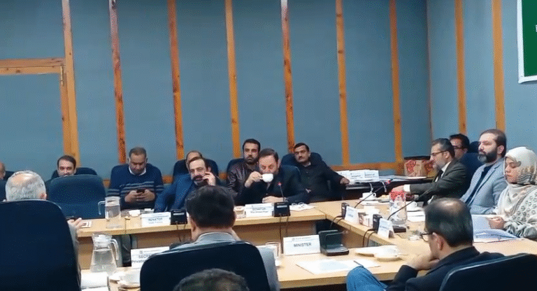 سینیٹ قائمہ کمیٹی نجکاری کے اجلاس میں پاور پلانٹس اور ڈسکوز کی نجکاری پر بریفنگ