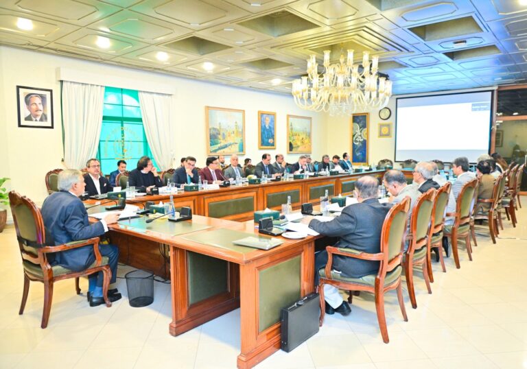 پی آئی اے کی نجکاری کی بڑی پیش رفت، 135 ارب روپے کی بولی کی توثیق