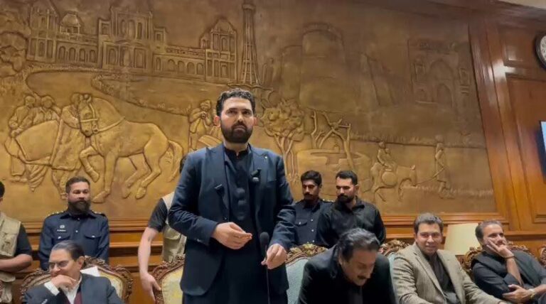 جعلی حکومت مسلسل ہمارے ساتھ زیادتی کررہی ہے، سہیل آفریدی