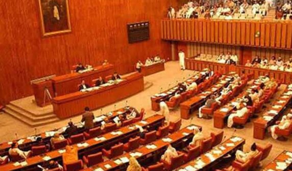 گرفتار، نظربند اور زیرحراست افراد سے تفتیش بارے بل سینیٹ سے منظور