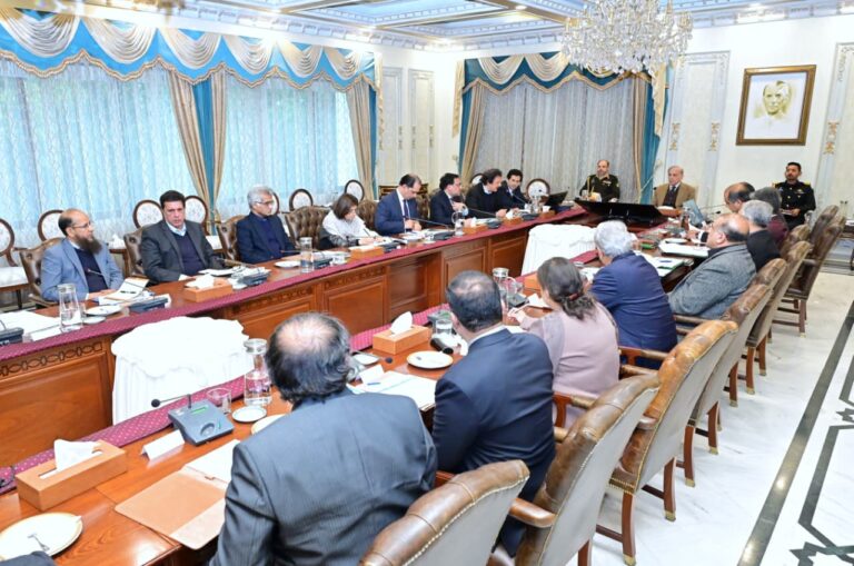 قیمتی پتھروں کی برآمدات سے زرمبادلہ کمایاجاسکتاہے، وزیراعظم شہبازشریف
