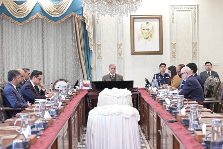 شہریوں کے لیے حکومتی سہولیات تک رسانی  مزید آسان بنائیں، وزیراعظم