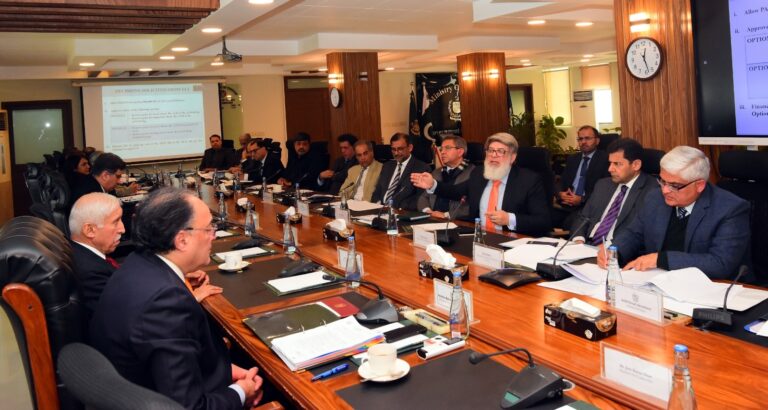 اقتصادی رابطہ کمیٹی کے اہم فیصلے: گندم، توانائی، صحت اور تعلیم کے لیے گرانٹس اور سبسڈیز کی منظوری