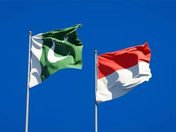 پاکستان اور انڈونیشیا کے درمیان طبی تعاون پر اتفاق
