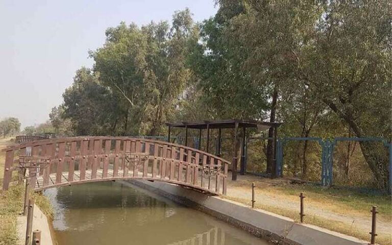 ملکہ ترنم کا گیت 53 سال بعد بھارتی جین زی کے دلوں کی دھڑکن بن گیا