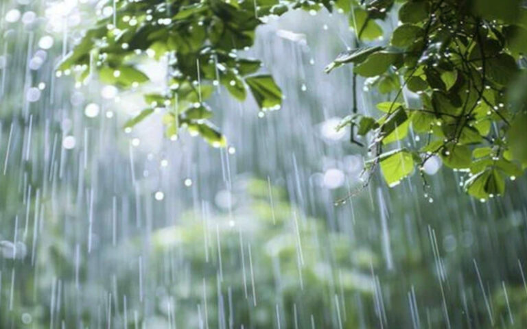 ملک کے مختلف علاقوں میں آج بھی بارش کی پیشگوئی