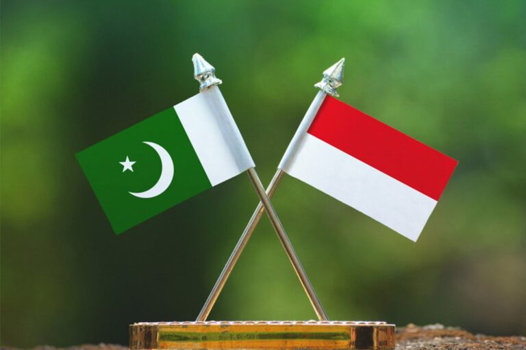 پاکستان اور انڈونیشیا نے تجارتی تعلقات مضبوط کرنے پر اتفاق