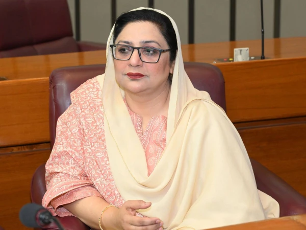 ملک میں ایڈز کے مریضوں میں مسلسل اضافہ ہو رہا ہے، قائمہ کمیٹی کا فرضی رپورٹ پر اظہار برہمی