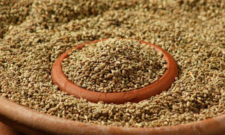رمضان میں وزن کم کرنے اور ہاضمہ بہتر بنانے کیلئے اجوائن کا آسان نسخہ