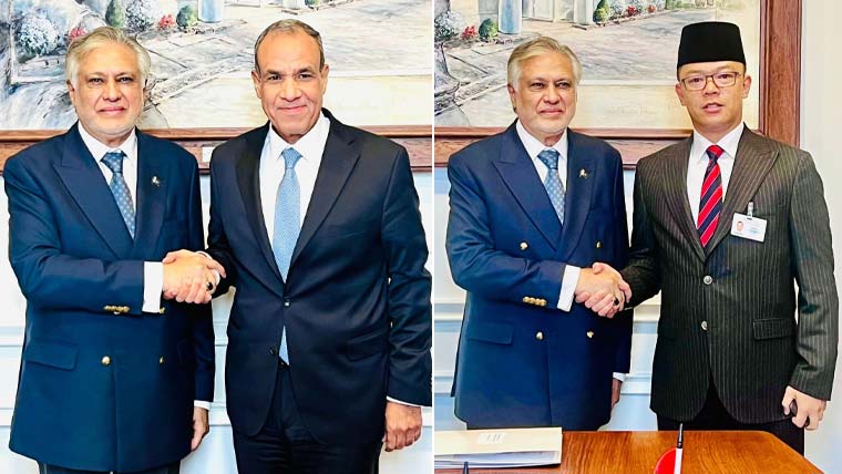 اسحاق ڈار کی انڈونیشی، مصری اور شامی وفود سے ملاقاتیں، غزہ پر تبادلہ خیال