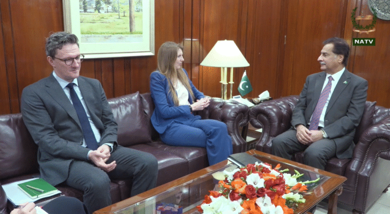 اسپیکر قومی اسمبلی سردار ایاز صادق سے برطانیہ کی ہائی کمشنر جین میریٹ کی ملاقات، دو طرفہ تعلقات اور پارلیمانی تعاون پر تبادلہ خیال