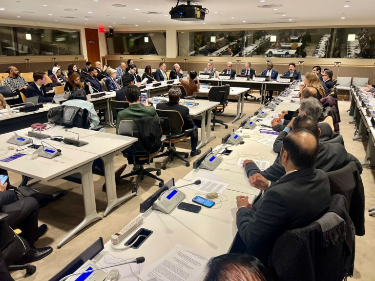 اقوام متحدہ میں یومِ یکجہتی کشمیر پر اجلاس، مقررین نے قبضے کو سماجی ترقی کی سب سے بڑی رکاوٹ قرار دے دیا