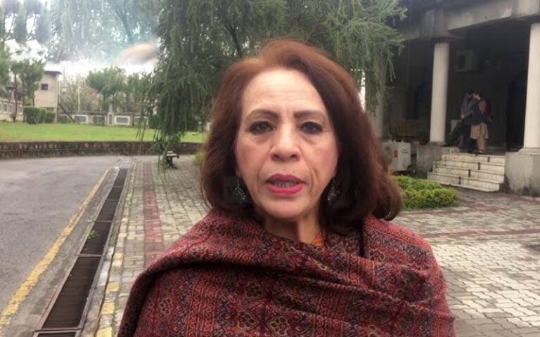 اسلام آباد میں عورت مارچ کے دوران فرزانہ باری سمیت 14 افراد گرفتار
