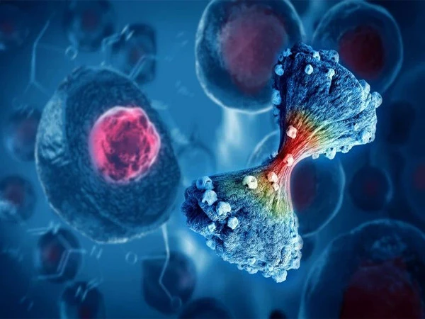 کینسر کے پھیلاؤ کی پیشگوئی کرنے والا نیا اے آئی نظام تیار