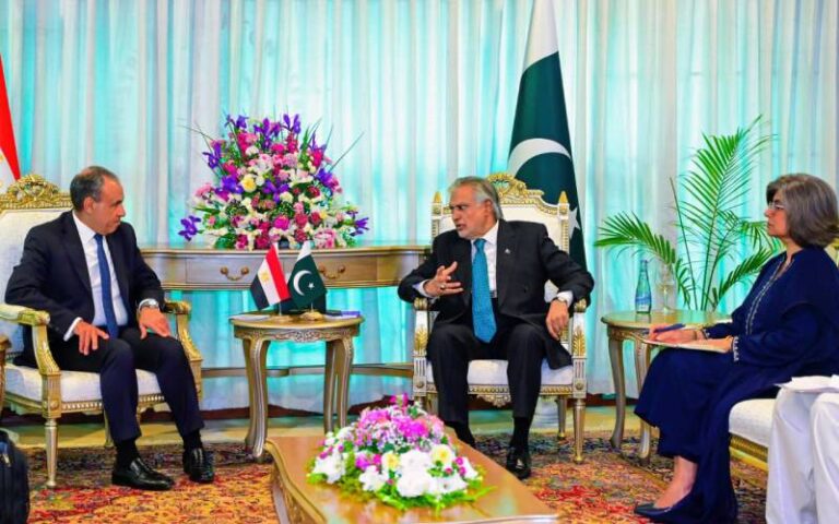 اسحاق ڈار اور مصری وزیر خارجہ کی ملاقات، دوطرفہ تعلقات مضبوط بنانے اور تعاون بڑھانے پر اتفاق