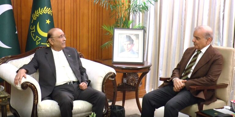 صدرزرداری سے وزیراعظم کی ملاقات، پاک ایران مذاکرات کے تمام پہلوؤں پر اعتماد میں لیا