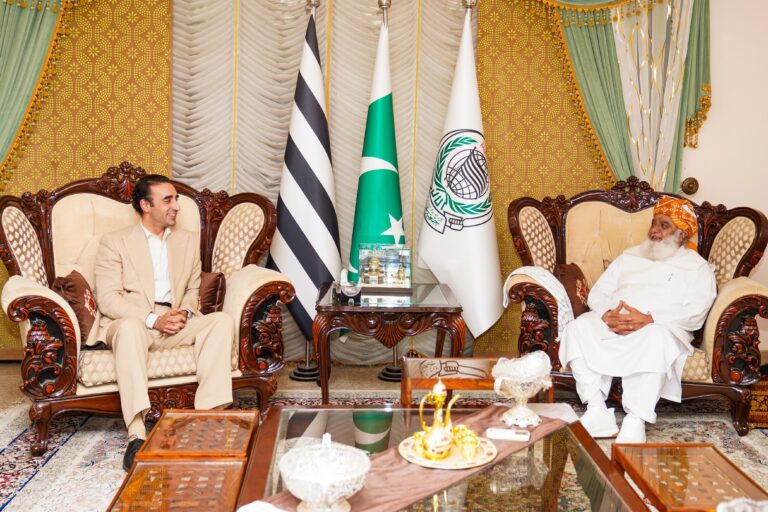 بلاول بھٹوکی  فضل الرحمان سے ملاقات، کشمیر جی بی الیکشن کیلیے اتحاد پراتفاق، اچانک قانون سازی پر تحفظات کا اظہار