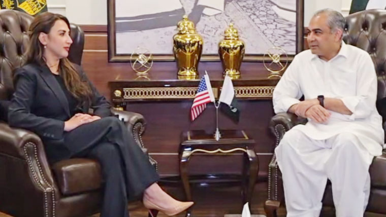 محسن نقوی سے امریکی سفیر کی ملاقات، مشرق وسطیٰ کی موجودہ صورتحال پر گفتگو