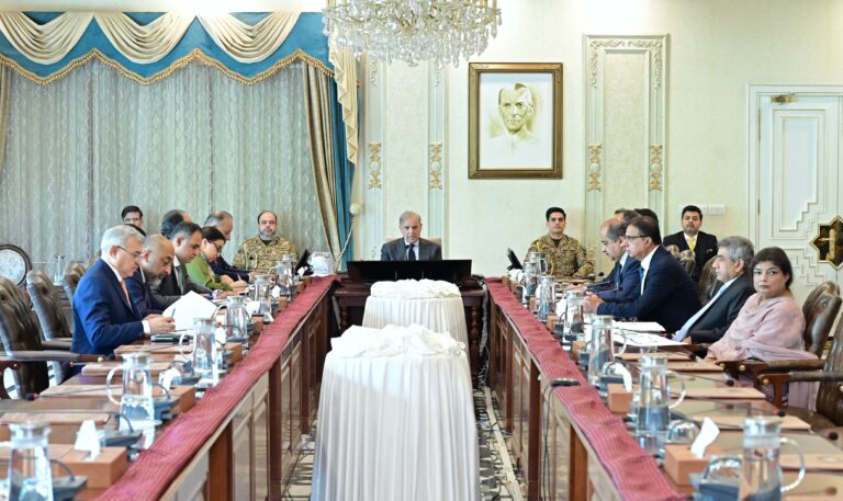 وزیراعظم شہباز شریف کی زیر صدارت الیکٹرک گاڑیوں کے فروغ پر اہم اجلاس، اقدامات تیز کرنے کی