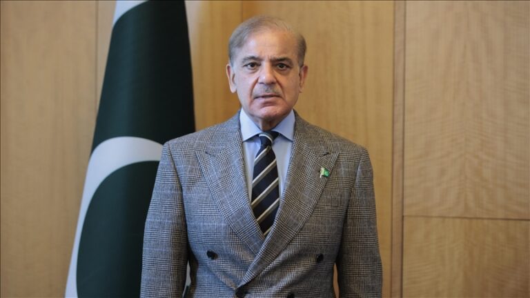 جنگ بندی کی خلاف ورزیاں امن عمل کی روح کو متاثرکر رہی ہیں، وزیراعظم شہبازشریف