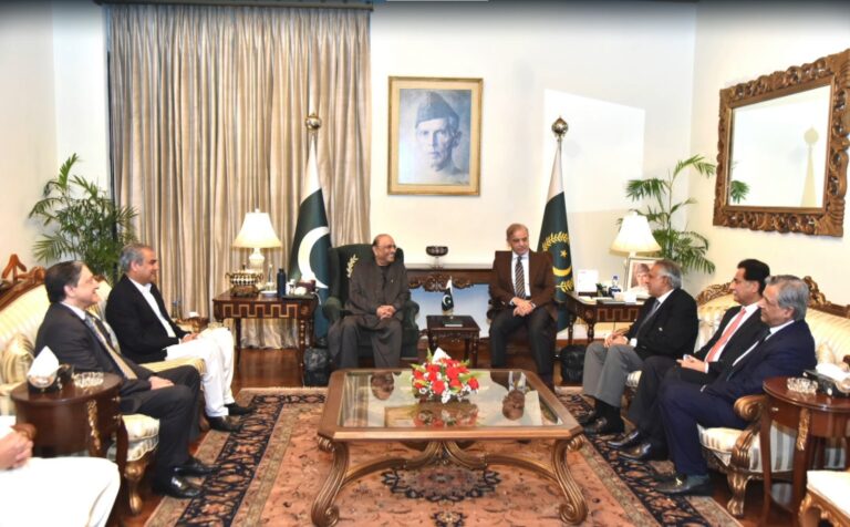 صدر زرداری سے وزیرِاعظم شہبازشریف کی ملاقات، صدر کی عوام کو زیادہ سے زیادہ ریلیف فراہم کرنے کی ہدایت