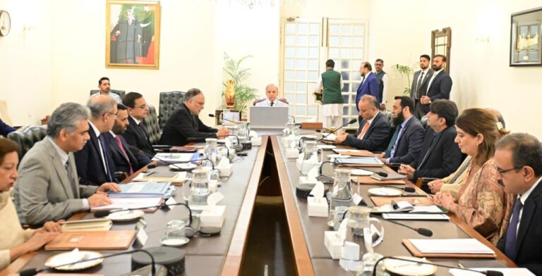 وزیراعظم کی زیرِ صدارت ہنگامی اجلاس؛ ‘نیشنل پاپولیشن کونسل’ کے قیام کا فیصلہ، شہباز شریف خود سربراہی کریں گے