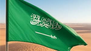 سعودی عرب میں کرکٹ کا نیا دور؛ پہلی ٹی ٹوئنٹی ’ڈیونز لیگ‘ کی منظوری، بڑے اسٹارز کی شرکت متوقع