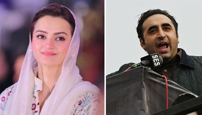 بلاول کے پنجاب کے شہروں کی صورتحال پر سوالات، مریم اورنگزیب نے ویڈیو جاری کرکے جواب دیدیا