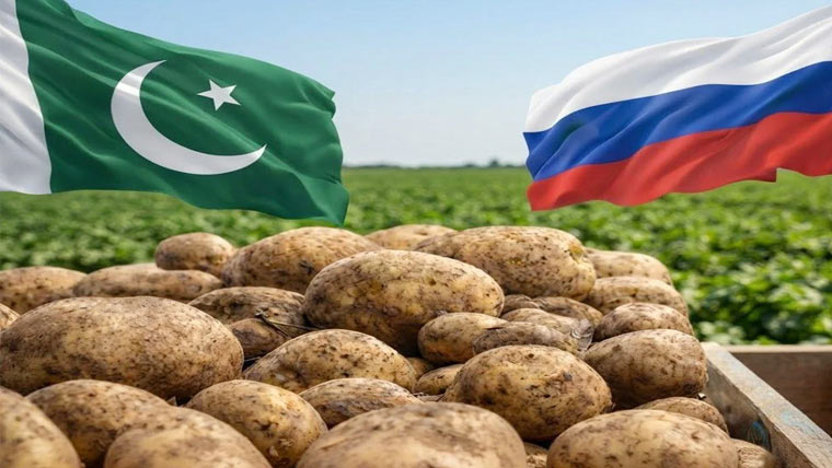 روس نے پاکستانی آلو کی درآمد پر عائد پابندی جزوی طور پر ختم کر دی