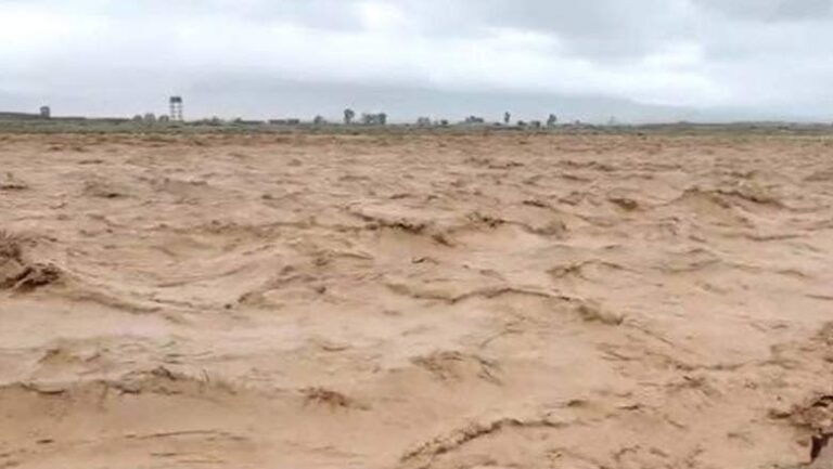 دریائے سندھ میں کالا باغ اور چشمہ کے مقام پر نچلے درجے کا سیلاب