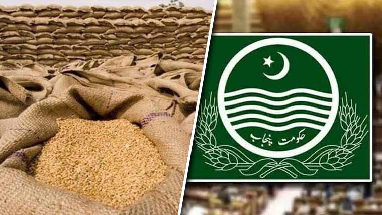 پنجاب حکومت کا وفاق سے 10 لاکھ ٹن گندم کیلئے باضابطہ رابطہ