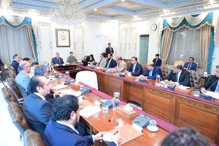 وزیراعظم شہباز شریف کی زیرِ صدارت بہبودِ آبادی پر اہم اجلاس، 2035 تک شرحِ نمو 1.25 فیصد تک لانے کا ہدف مقرر
