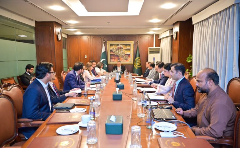 نائب وزیراعظم اسحاق ڈار کا اہم اجلاس، اقتصادی سفارت کاری اور فعال خارجہ پالیسی کو وقت کی ضرورت قرار دے دیا