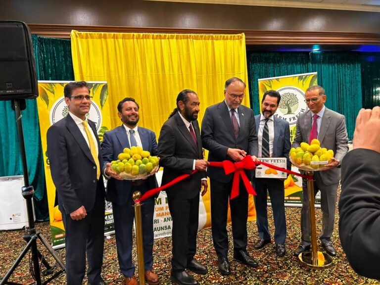 ٹیکساس میں پاکستانی آموں کی دھوم؛ ہیوسٹن مینگو فیسٹیول میں وفاقی وزیر احسن اقبال کی شرکت