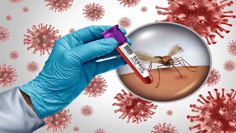 پنجاب میں ستمبر کے دوران ڈینگی کے 57 کیسز رپورٹ، راولپنڈی سرفہرست رہا